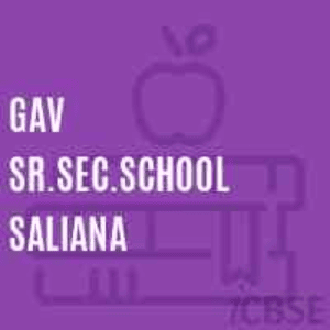 Gav Sr Sec School