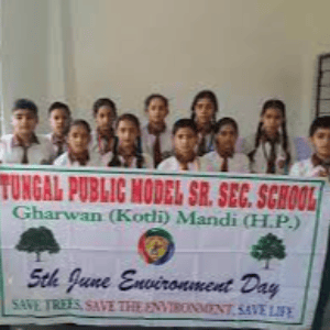 Tungal Public Model Senior Secondary School