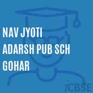 Nav Jyoti Adarsh Public High School