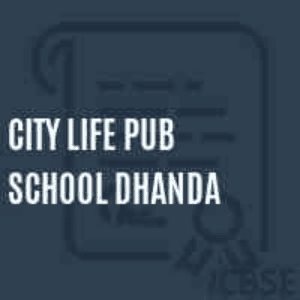 City Life Public School