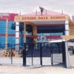 Spring Dale School