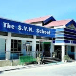 Svn Public School