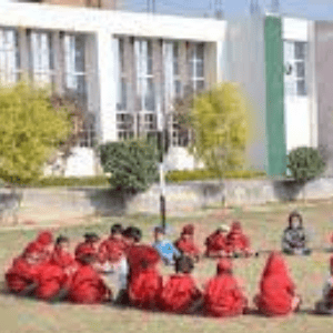 Chauhan Public School